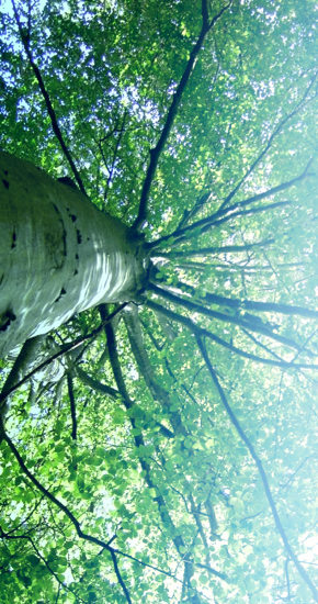 Delivering the sales outcomes your business needs